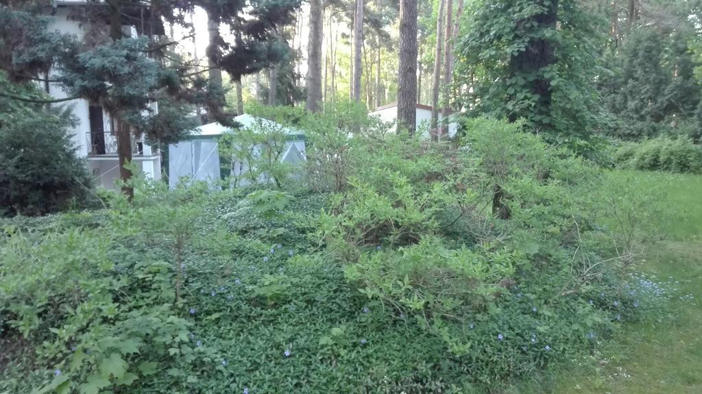 Villa Le Matin Konstancin-Jeziorna Exteriör bild