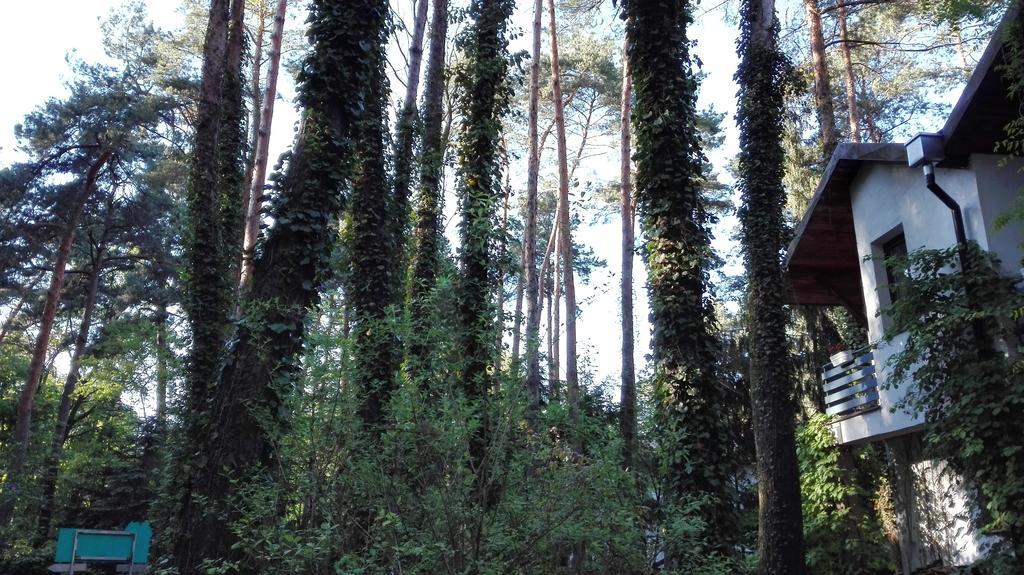 Villa Le Matin Konstancin-Jeziorna Exteriör bild
