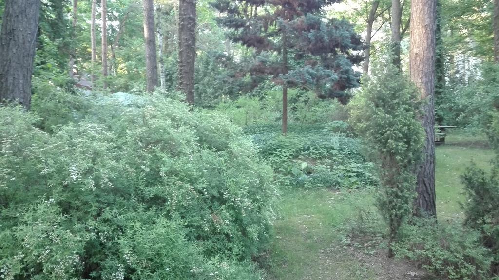 Villa Le Matin Konstancin-Jeziorna Exteriör bild