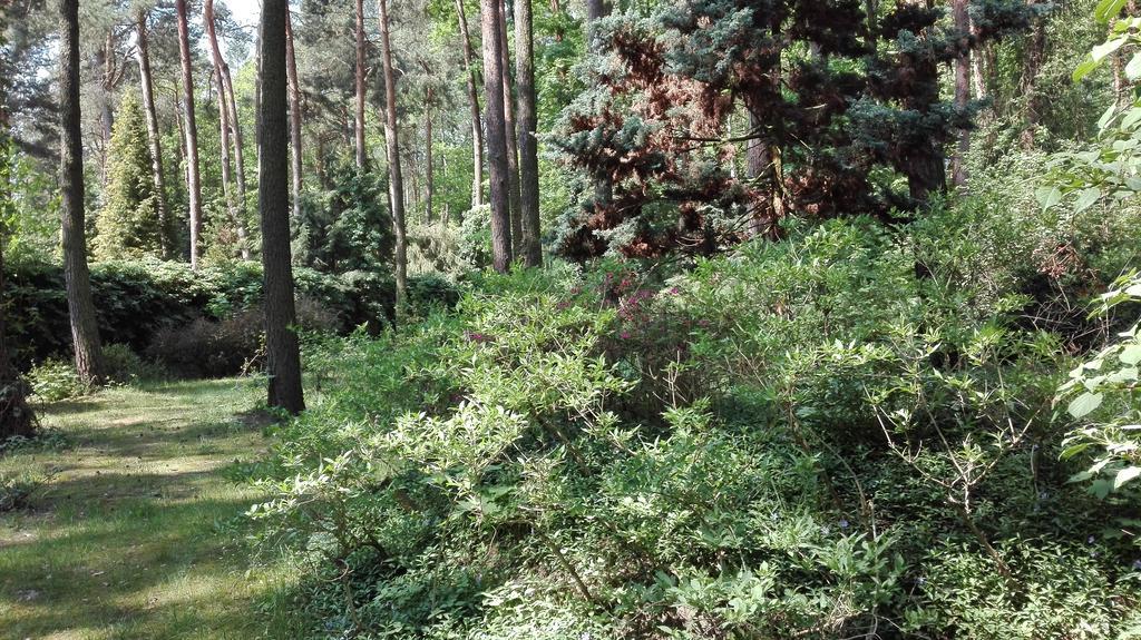 Villa Le Matin Konstancin-Jeziorna Exteriör bild